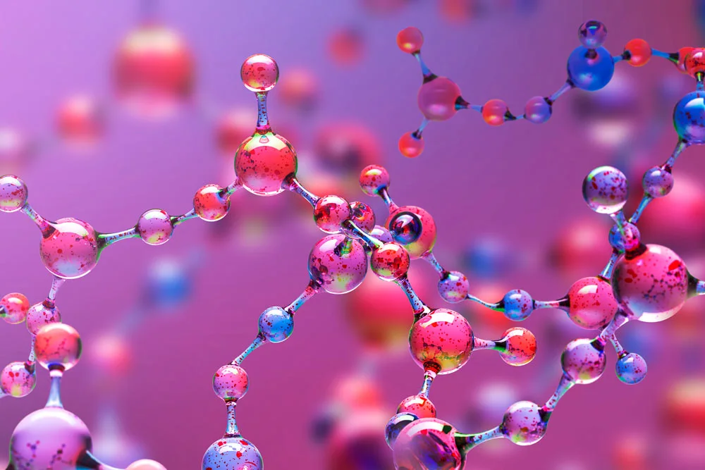 Image cellules en gros plan